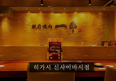 히가시 신사이바시점